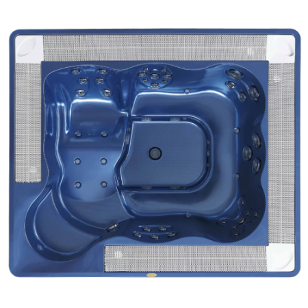 Спа бассейн Jacuzzi Virginia Professional